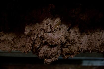 La pasta del cacao poco antes de ser chocolate