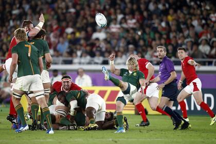 La patada al cajón de Faf de Klerk, medio-scrum de los Springboks, una característica del juego que primó en el Mundial