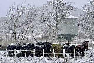 Productores de Santa Cruz presentaron un amparo en contra de una medida del gobierno de Javier Milei