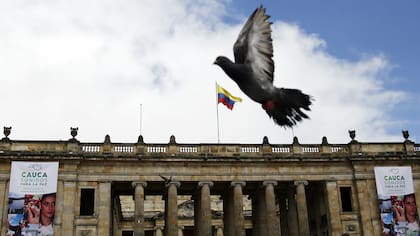 La paz, sobrevuela Colombia hoy