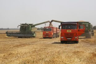 La pelea entre el sector y el Gobierno empezó por los aumentos del precio de la harina