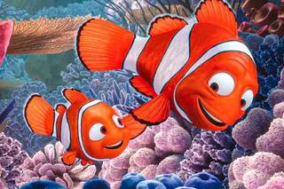 El dato científico sobre “Buscando a Nemo” que dejó a los fans sin palabras