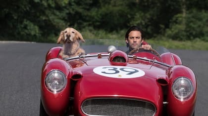 La película dramática tiene tintes de comedia