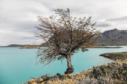 La Península, Perito Moreno.