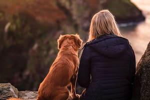 La perdida de una mascota es un momento duro para las personas: cómo afrontarlo