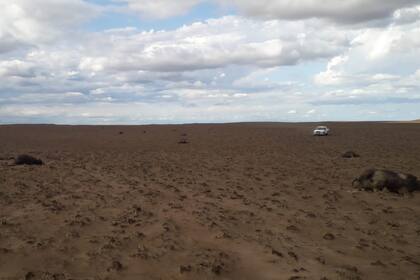 La pérdida para el productor asciende a $25 millones