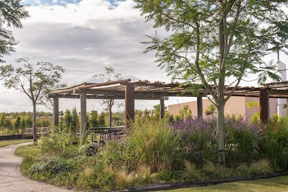 La pérgola central, con cantero lateral de cañas secas. Flanquean los laterales Paspalum exaltatum, Stipa tenuissima, Salvia guaranitica, Salvia leucantha, Artemisia sp, Aloysia polystachya, Iris germanica y margaritas.