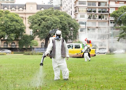 La periodicidad de la fumigación en espacios públicos pasó de ser mensual a semanal o quincenal ante la invasión de mosquitos