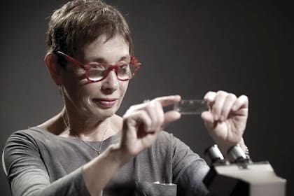 La periodista participa en un programa de tele sobre ciencia.