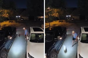 La perra Lexi se escapó de su casa y regresó sola, después de seis días, con su familia