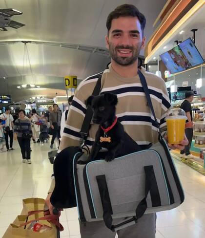 La perra soportó el viaje en avión sin problemas (Foto: The Dodo)