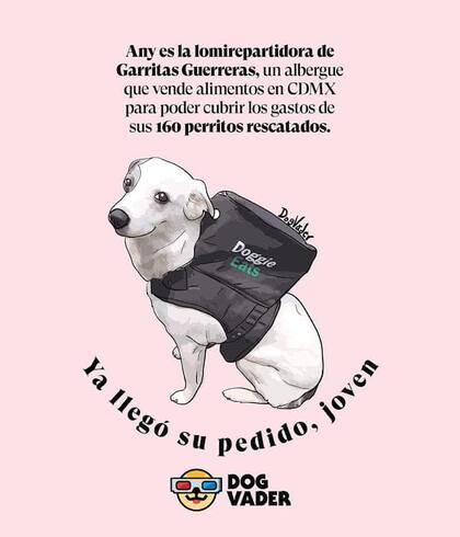 La perrita ya es una sensación en las redes sociales. Fuente: DogVader/Facebook