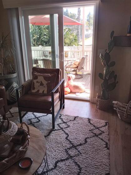 La personalidad cariñosa de Sadie Rose se hizo evidente en los días siguientes: “Es absolutamente hermosa y adorable”, dijo Hall.