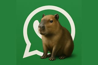 Así se puede activar el "modo Capibara" en WhatsApp