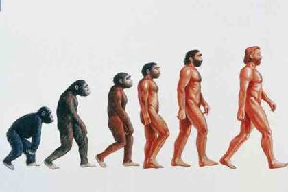 El cuerpo humano se acostumbró a comer alimentos ultraprocesados cuando en realidad necesita de los mismos alimentos que comían los sapiens