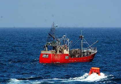La pesca está esquilmando los mares
