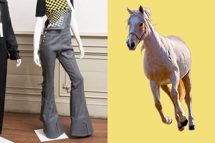 La pezuña de un caballo, camello o vaca convertida en una original botamanga de un pantalón oxford