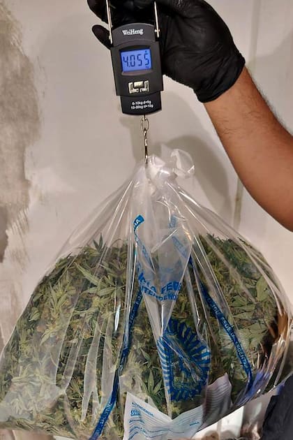 La PFA detuvo a tres hombres y secuestró 572 plantas de marihuana florecidas; 14 kilos de cogollos de marihuana (por un valor de unos 35,6 millones de pesos); 4 kilos de hojas de marihuana; aceite de cannabis y dinero en efectivo.