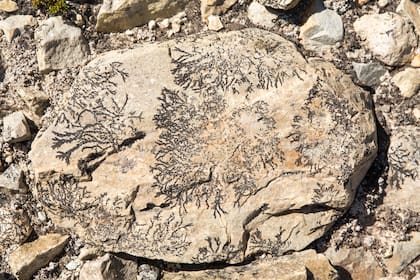 La piedra con pirolusita.