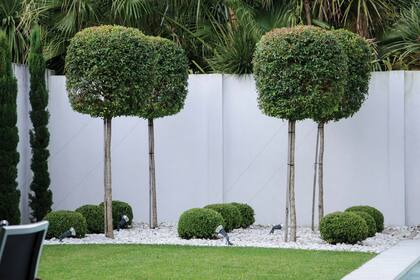 La piedra que se utilizó en los distintos patios y como base de todos los topiarios es blanca y grande, idea que la dueña de casa trajo desde Ibiza.