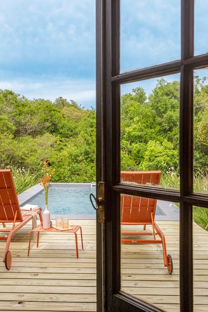La pileta de agua salada remata en la arbolada natural. Muebles de exterior (Natieral) sencillos, pero de colores fuertes: naranjas y rojos, complementarios directos del azul y el verde, presentes en el paisaje.