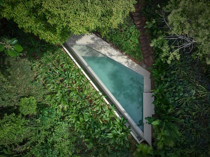 La pileta infinita se esconde entre la vegetación, siguiendo la forma natural de la ladera.