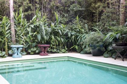 Una pileta suma al carácter tropical del espacio y se convierte en un espejo de agua que refleja la frondosidad de las plantas.