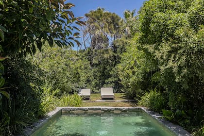 La piscina, rodeada por vegetación, conserva el espíritu agreste