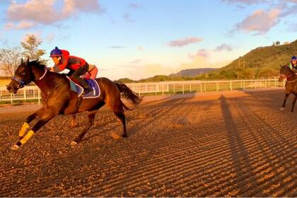 La pista de arena de Santa Lucía, donde ya trabajan los caballos, será la primera en la que se competirá, desde este 13 de diciembre