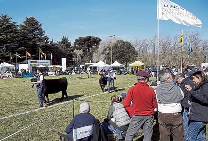 La pista de jura, centro de la atención