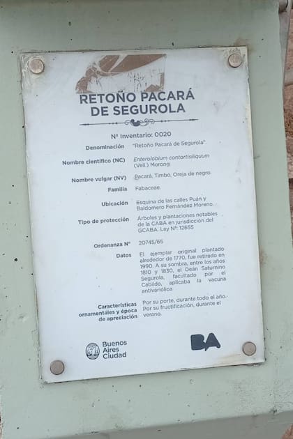 La placa que cuenta la historia del árbol Pacará y de quien lo hizo célebre, el dean Saturnino Segurola