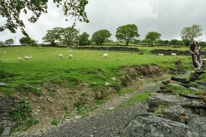 La placidez y tranquilidad de la aldea Alberllefenni