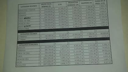 La planilla anterior muesta como por ejemplo el valor de base de un novillo era de cerca de $380.000 y el traslado de animales fuera de la provincia era de $9500 por animal