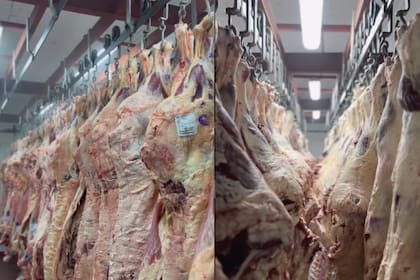 La planta atraviesa una compleja transición