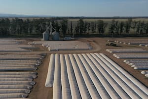 La planta de acopio de cereales y oleaginosas en la localidad de Río del Valle. que adquirió la firma