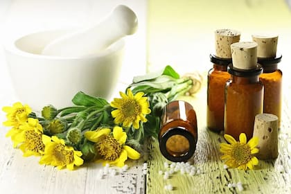 La planta de árnica tiene principios activos como las lactonas sesquiterpénicas, flavonoides, terpenos, ácidos fenólicos, cumarinas, carotenoides y alcaloides pirrolizidínicos, que inhiben la activación de factores inflamatorios