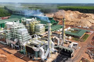 Uno de los hombres más ricos del país inaugurará una de las mayores centrales de energía a biomasa