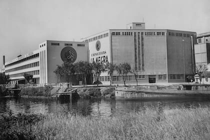 La planta de La Negra