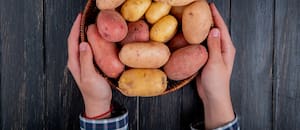 Sorpresa genética entre dos plantas nacidas en América que conquistaron el mundo hace casi 300 años