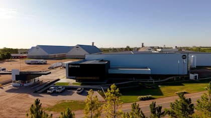La planta industrial de Servicios Agropecuarios SRL