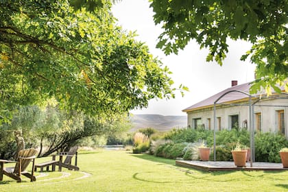 La plantación cerca de la casa va repitiendo especies como spiraeas, romeros, santolinas, perovskias y gramíneas –como panicum y calamagrostis– logrando una plantación bien suelta y resistente a las condiciones climáticas del lugar.