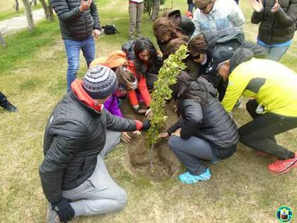 La plantación de un árbol en el día de la soberanía