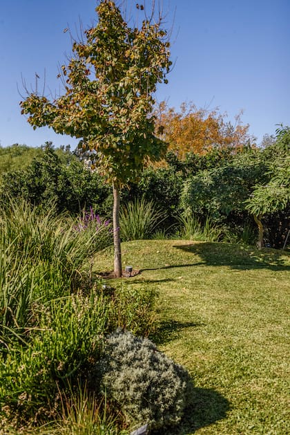 La plantación del sector trasero es de estilo naturalista, con unas lomadas que dan movimiento al conjunto