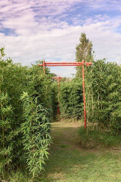 La plantación representa dos formas basadas en la platería criolla: flor del pensamiento y la pluma de ñandú, siendo San Antonio de Areco cuna de la tradición.