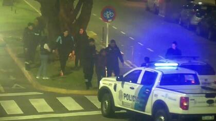 La Plata: se subió a un árbol en pleno centro de la ciudad y agredió a los peatones con ramas.
