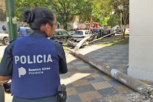 La Plata: un camión derribó un poste de luz y un médico murió electrocutado