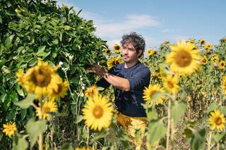 Cómo funcionan los hoteles "dispersos"