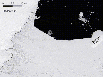 La plataforma de hielo Congrio (alrededor de 1200 km2) se desintegró por completo en la Antártida Oriental el 15 de marzo durante la "ola de calor" sin precedentes que azotó la región.
(Foto interactiva de US National Ice Center)