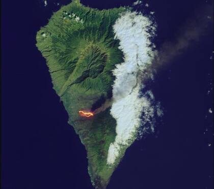 La plataneras de la isla corren peligro de quedar destruidas por la erupción