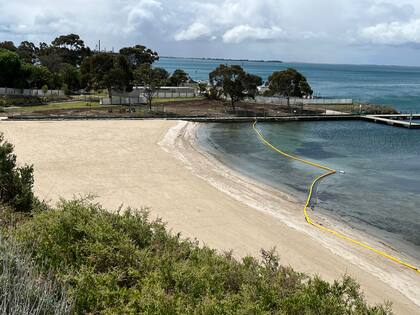 La playa de St. Helen, en Australia, donde se encontraron los restos de la criatura gigante